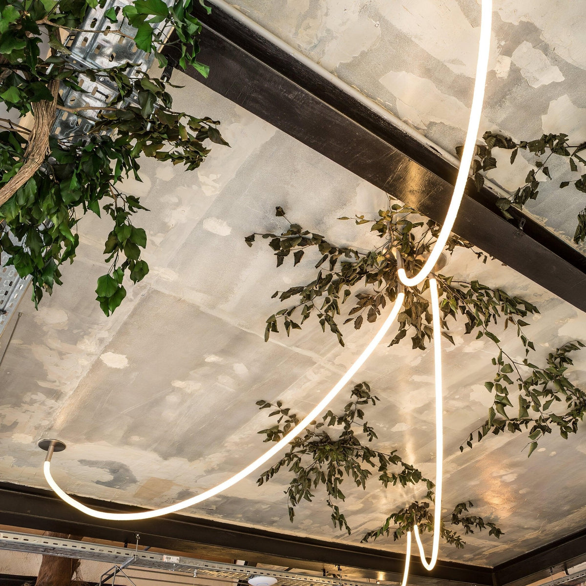 Flexible Curve Line Pendant Lamp