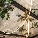 Flexible Curve Line Pendant Lamp