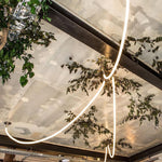 Flexible Curve Line Pendant Lamp
