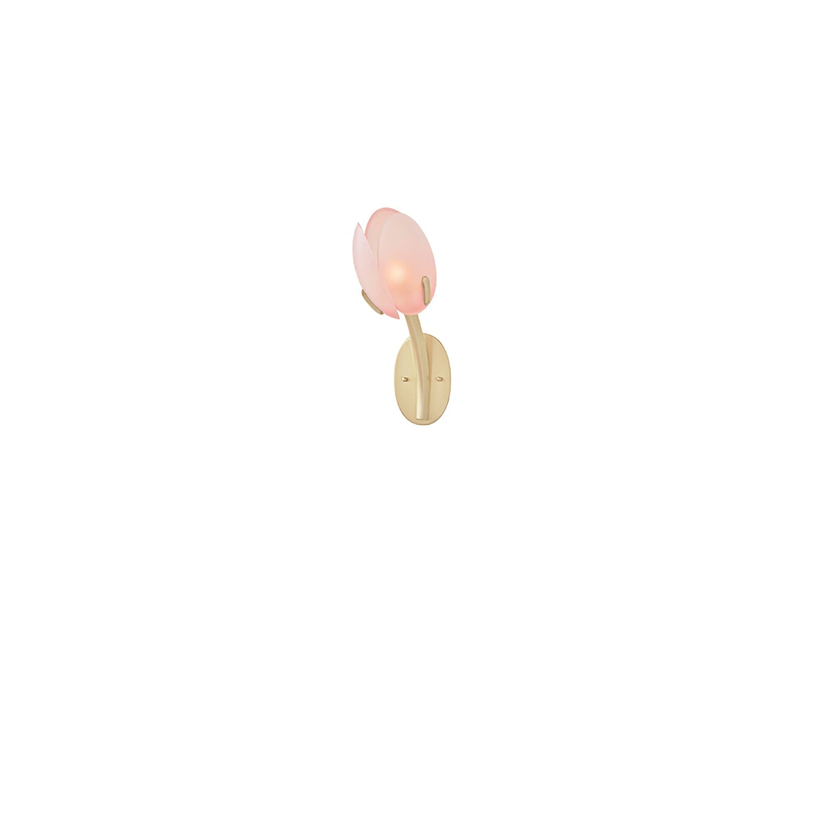 Tulyn Bloom Wall Sconce in Blush Pink Glass and Gold Metal