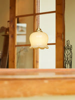 Valley Flower Pendant Swag Lamp