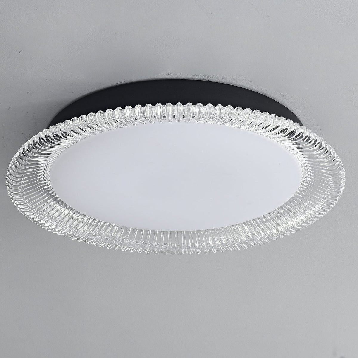 Vanguard LED Flush Mount Ceiling Light in Black and Acrylic