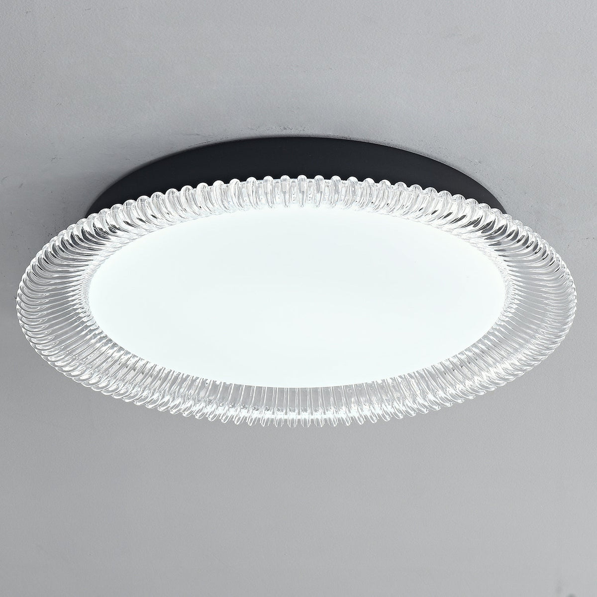 Vanguard LED Flush Mount Ceiling Light in Black and Acrylic