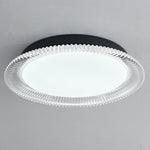 Vanguard LED Flush Mount Ceiling Light in Black and Acrylic