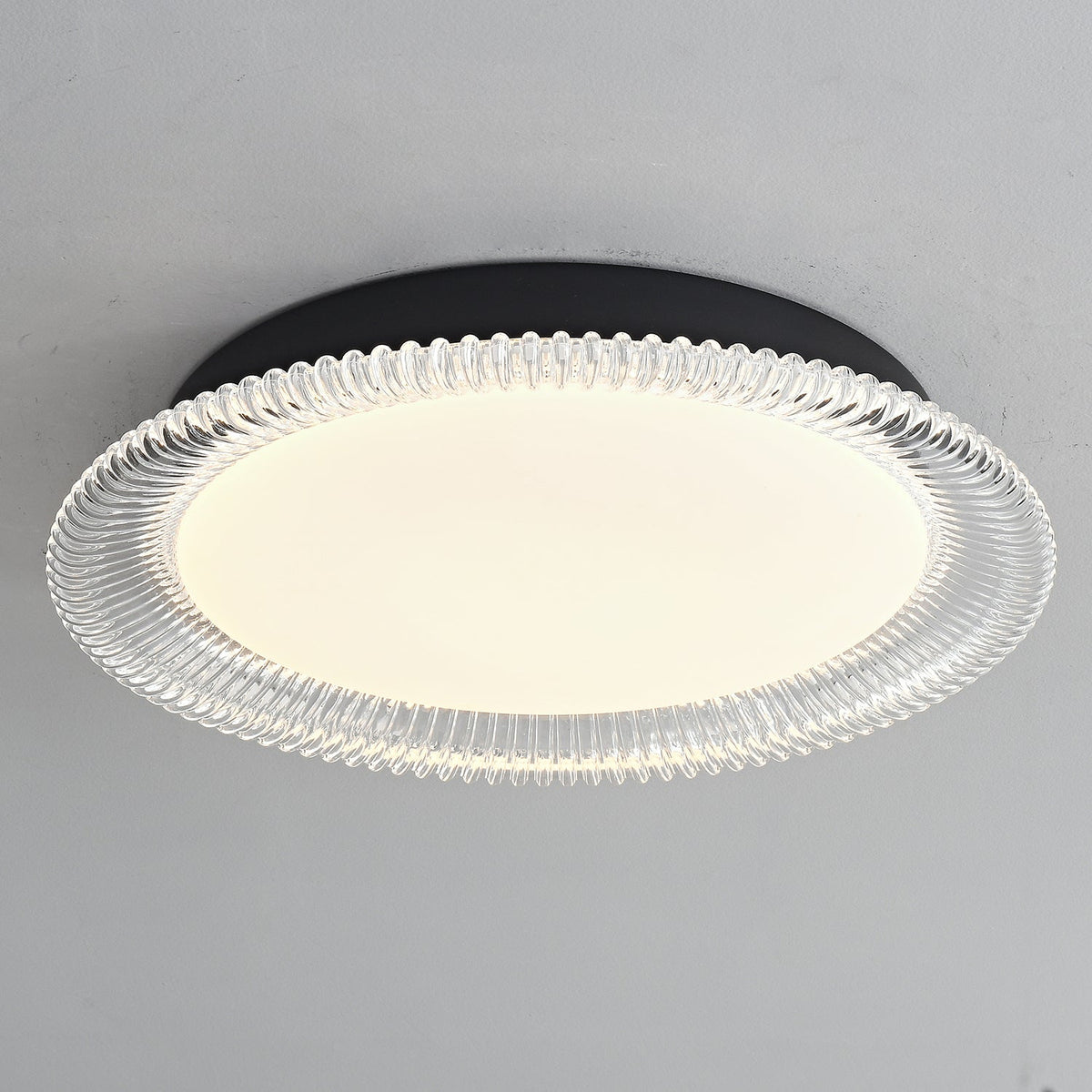 Vanguard LED Flush Mount Ceiling Light in Black and Acrylic