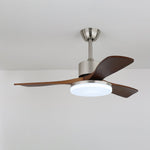 Vega Ceiling Fan Light with LED, Walnut Blades and Brass Finish