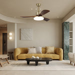 Vega Ceiling Fan Light with LED, Walnut Blades and Brass Finish