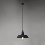 Vintage Industrial Collections Pendant Light