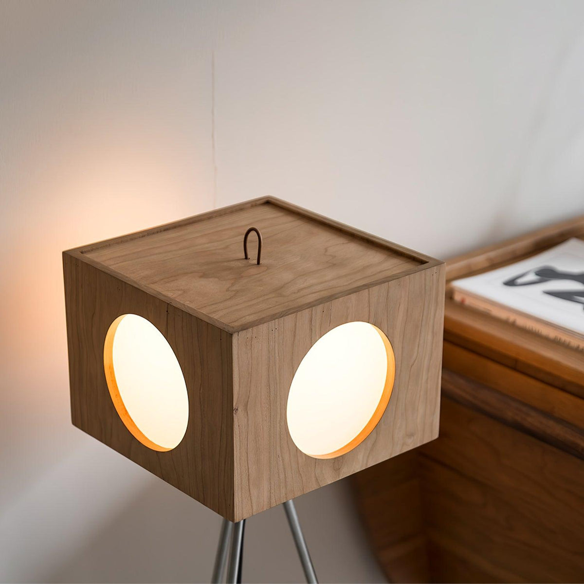 Vintage Tripod Camera Floor Lamp