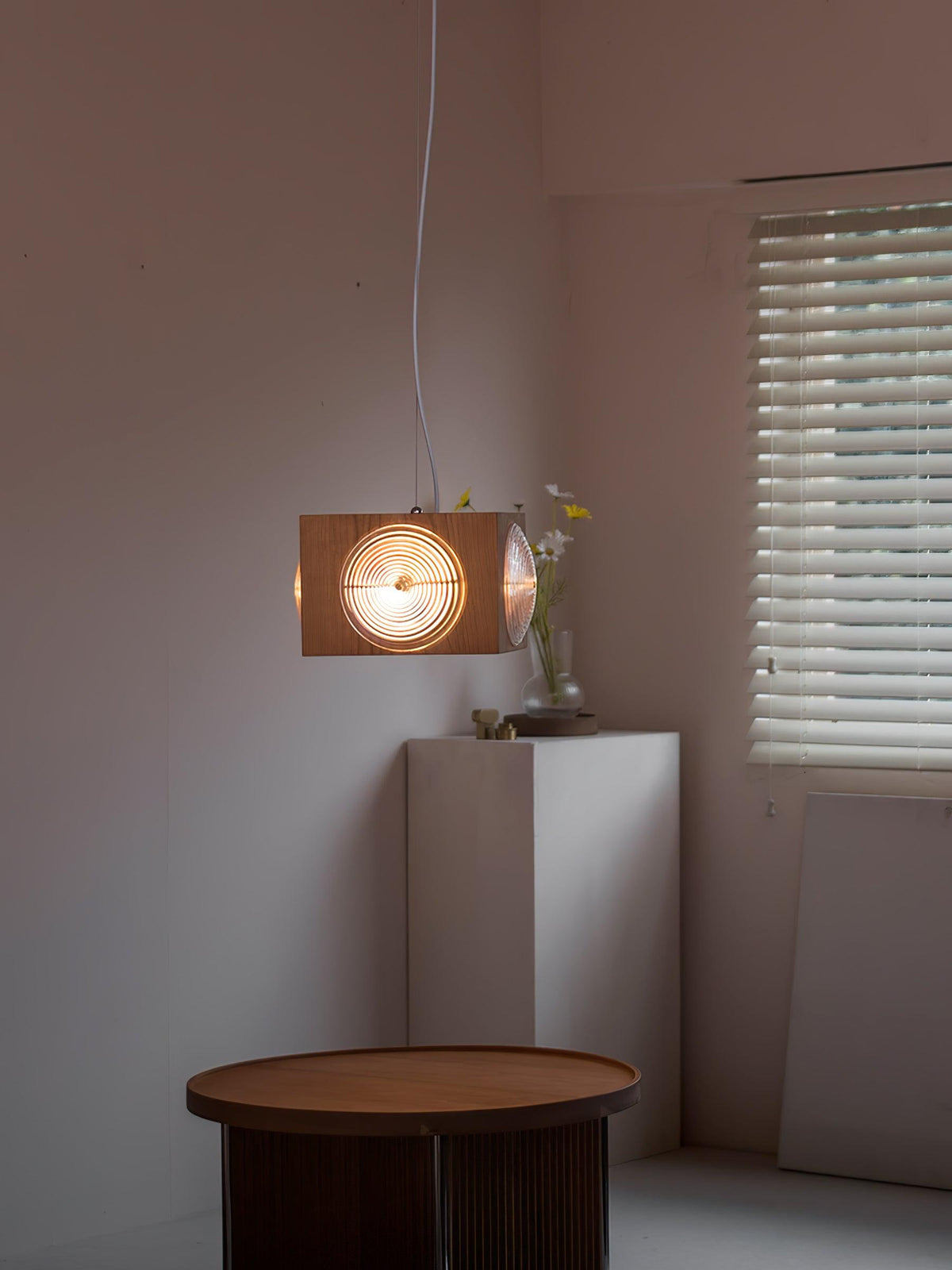 Vintage Camera Pendant Light in Cherry Wood with Glass Lens