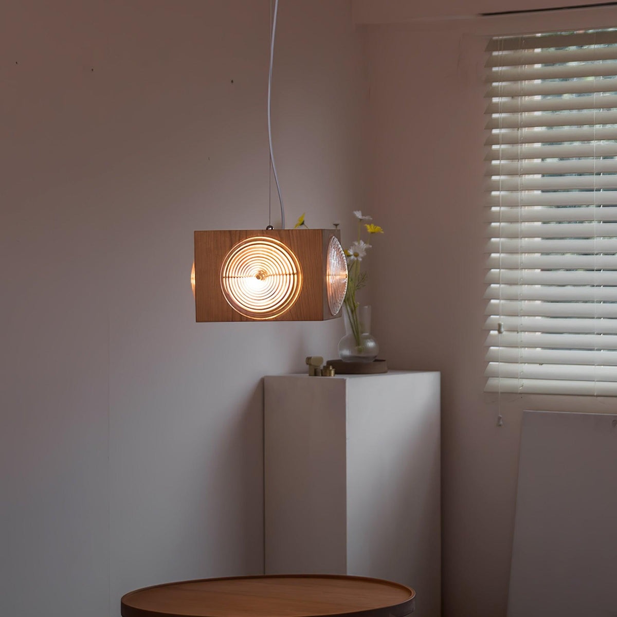 Vintage Camera Pendant Light in Cherry Wood with Glass Lens