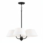 welsley-chandelier