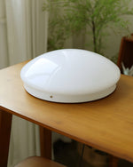 wickes-flush-ceiling-light
