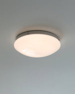 wickes-flush-ceiling-light