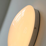 wickes-flush-ceiling-light