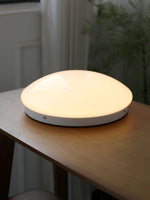 wickes-flush-ceiling-light
