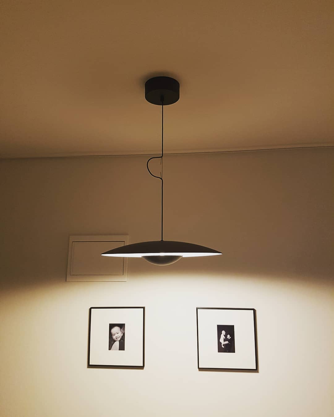 Wilbur Ginger Pendant Light