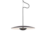 Wilbur Ginger Pendant Light