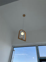 Wood Bird Resin Pendant Light