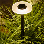 Minimalist Outdoor Bollard Light with Weatherproof LED Landscape Illumination