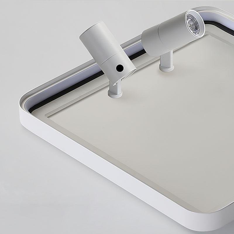 Lighting Ceiling Lights Flush Mount Lighting_Tli00241