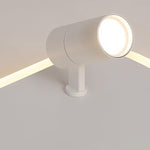 Lighting Ceiling Lights Flush Mount Lighting_Tli00240