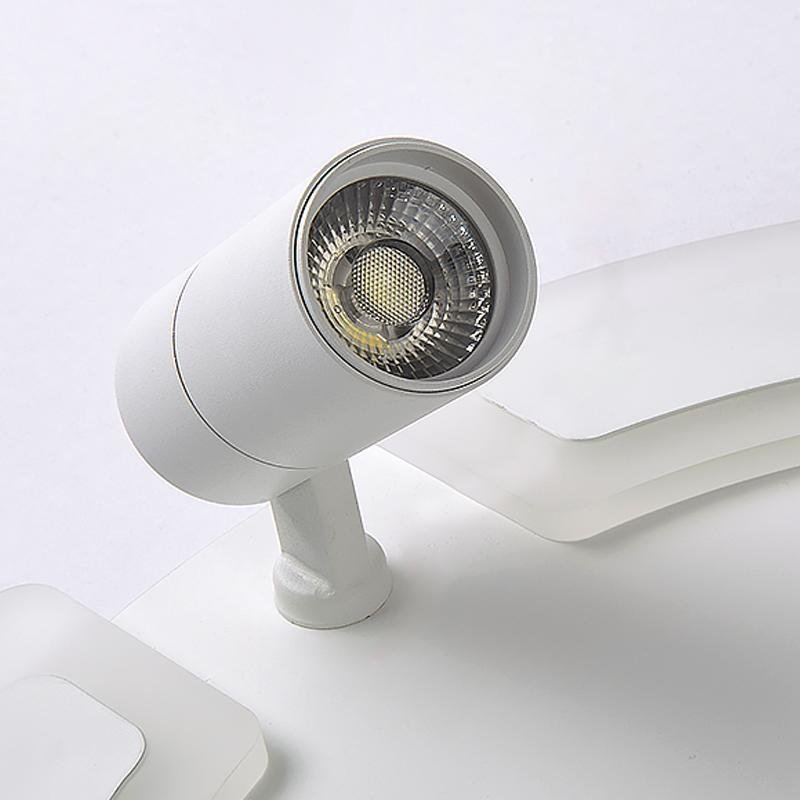 Lighting Ceiling Lights Flush Mount Lighting_Tli00217