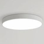 Lighting Ceiling Lights Flush Mount Lighting_Tli00157
