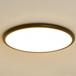 Lighting Ceiling Lights Flush Mount Lighting_Tli00236