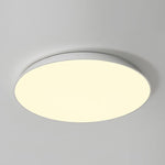 Lighting Ceiling Lights Flush Mount Lighting_Tli00281