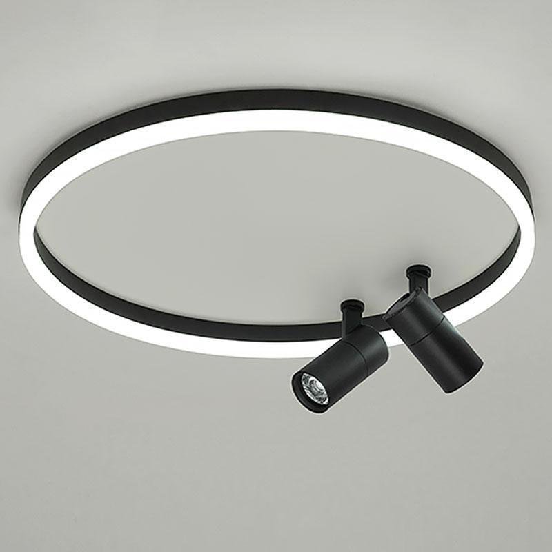 Lighting Ceiling Lights Flush Mount Lighting_Tli00249