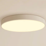 Lighting Ceiling Lights Flush Mount Lighting_Tli00157