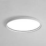 Lighting Ceiling Lights Flush Mount Lighting_Tli00250