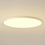 Lighting Ceiling Lights Flush Mount Lighting_Tli00213