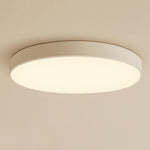 Lighting Ceiling Lights Flush Mount Lighting_Tli00157