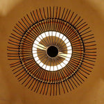 Tli00641