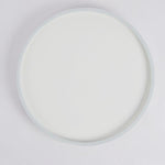 Lighting Ceiling Lights Flush Mount Lighting_Tli00160