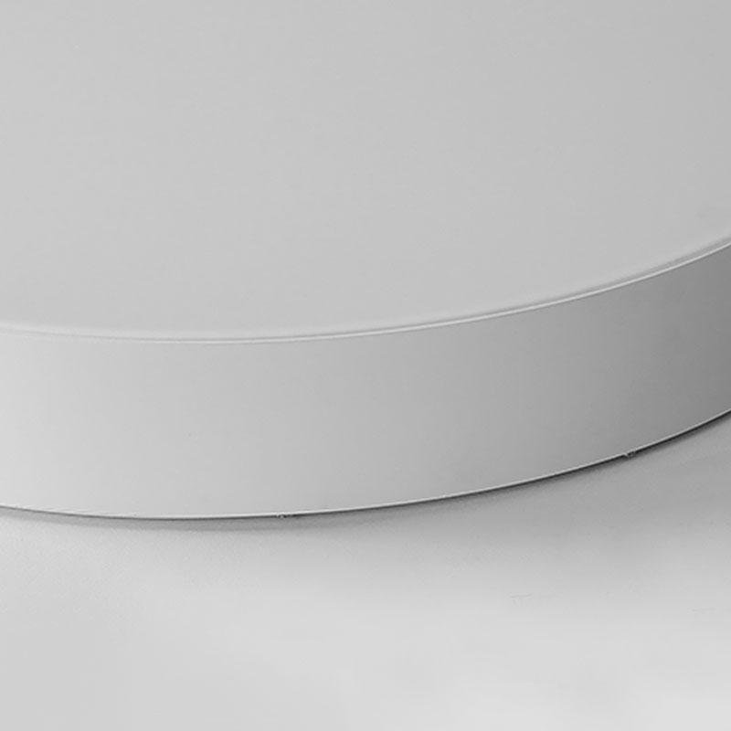 Lighting Ceiling Lights Flush Mount Lighting_Tli00157