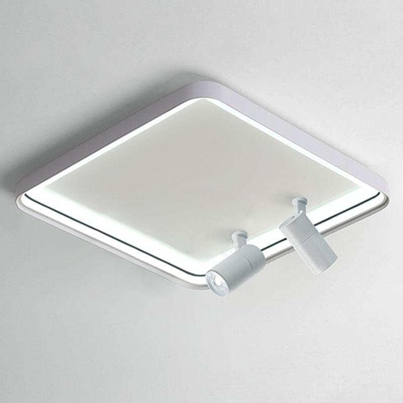 Lighting Ceiling Lights Flush Mount Lighting_Tli00241