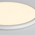Lighting Ceiling Lights Flush Mount Lighting_Tli00236