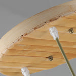 Tli00608