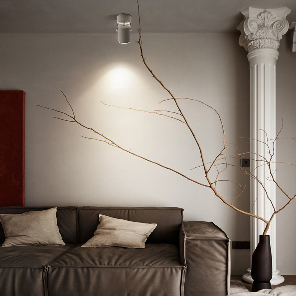 Modern Adjustable LED Downlight in Aluminum for Ceiling and Wall