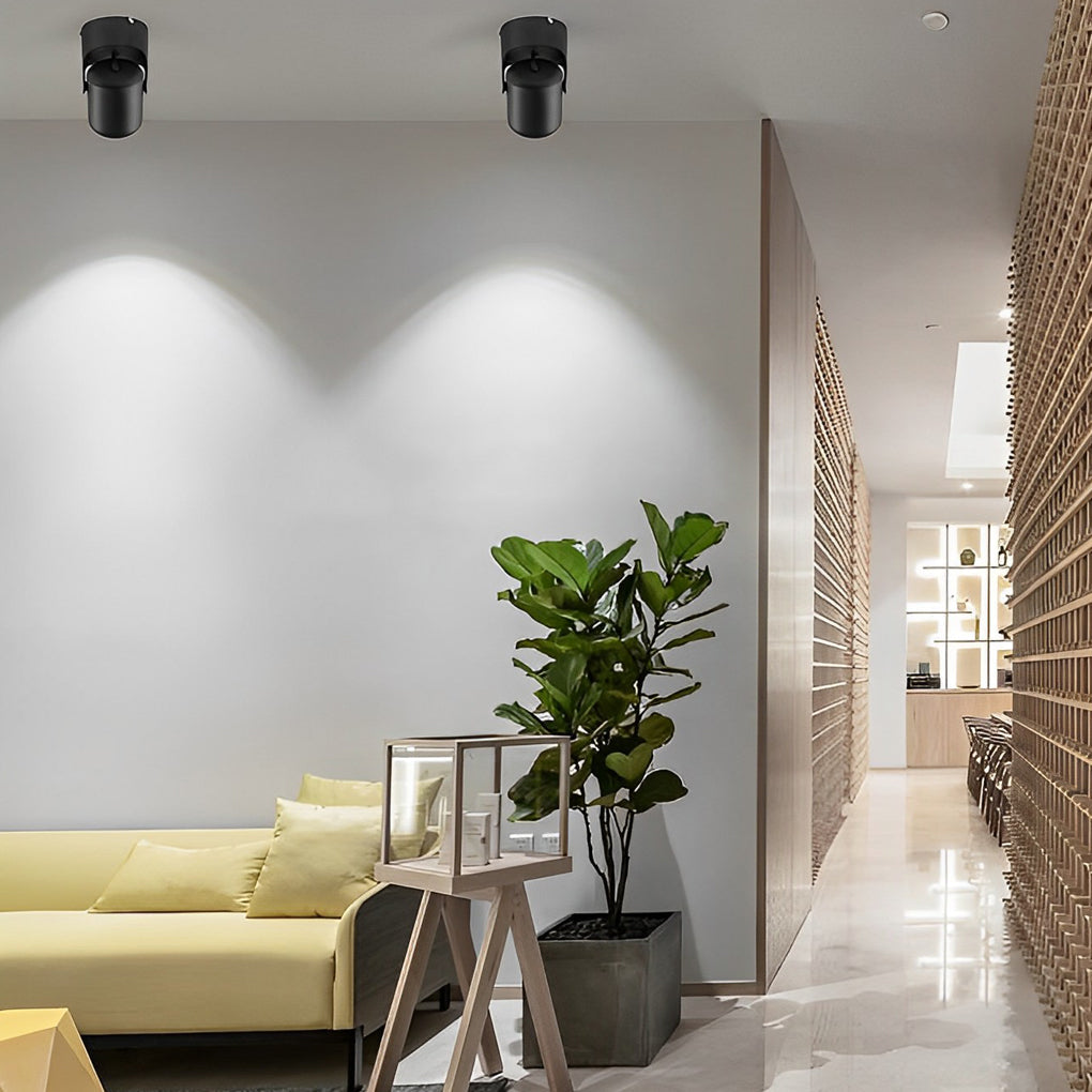 Modern Adjustable LED Downlight in Aluminum for Ceiling and Wall