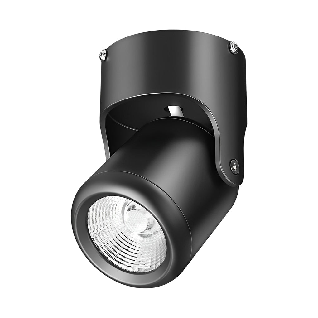 Modern Adjustable LED Downlight in Aluminum for Ceiling and Wall