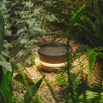 Minimalist Black Pathway Lights for Modern Landscape Design