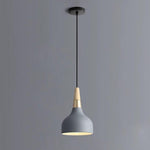 Lighting Ceiling Lights Pendant Lighting_4Pycn