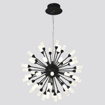 Lighting Ceiling Lights Chandeliers_4Ikhb