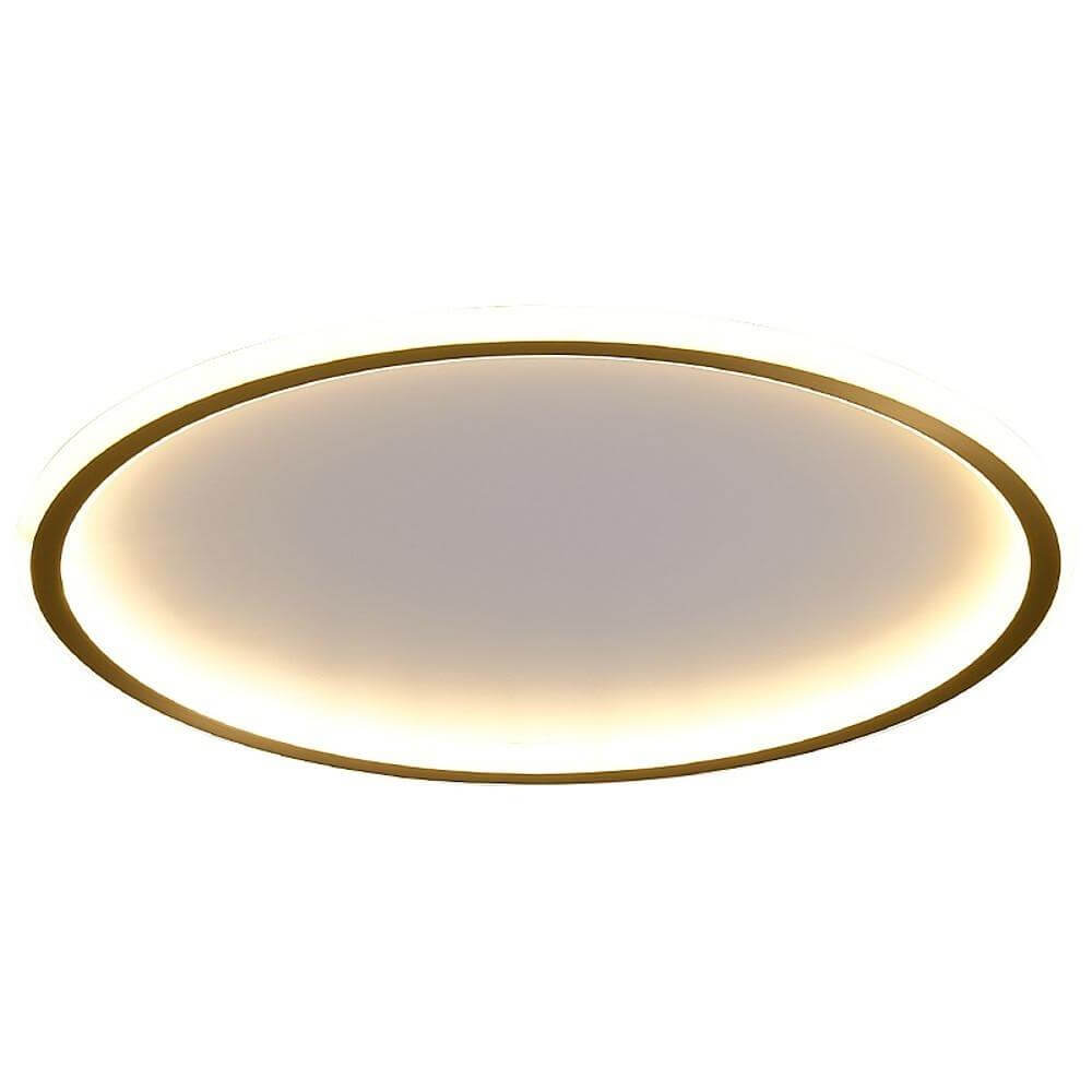 Lumina Circle LED Flush Mount Ceiling Light in Brushed Brass