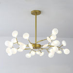 Lighting Ceiling Lights Chandeliers_53P9Q