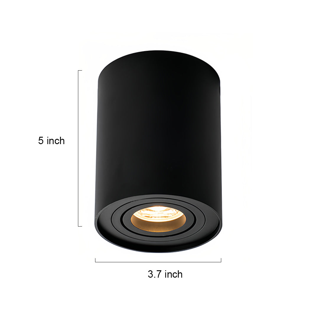 Modern Cylindrical LED Ceiling Light, Surface Mounted Downlight in Black